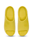 Pair of yellow Chupster on a white background