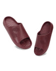 Pair of maroon Chupster on a white background