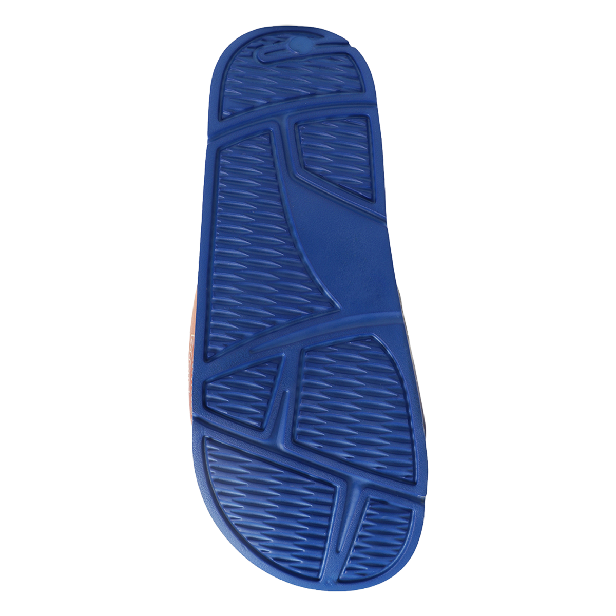 royal_blue_&amp;_orange